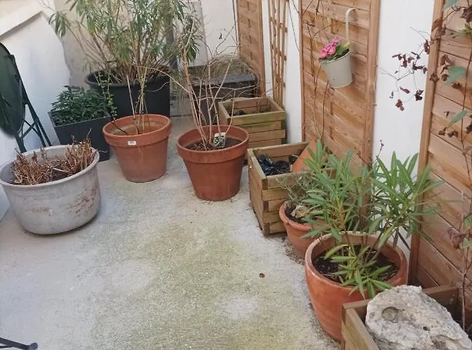 Au Coeur De La Cite Des Bourbons Guest house 3*